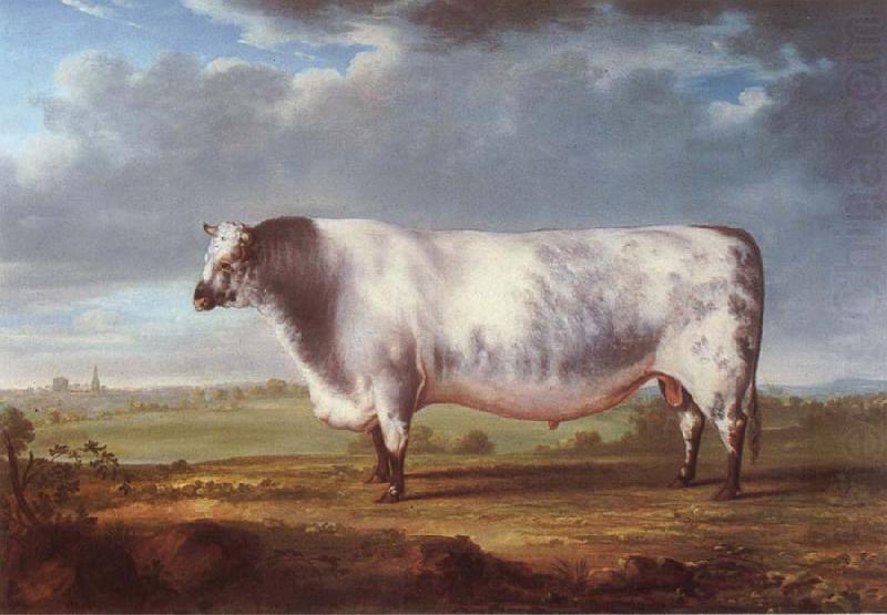 Thomas Alder A Prize Bull china oil painting image